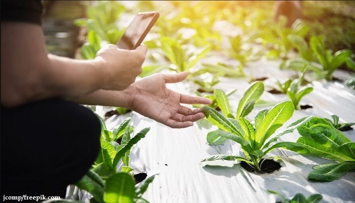 Prospek Kerja Agroteknologi