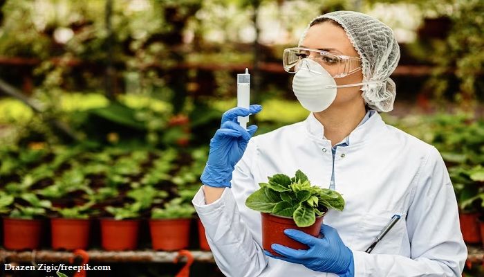 Prospek Kerja Teknologi Pangan